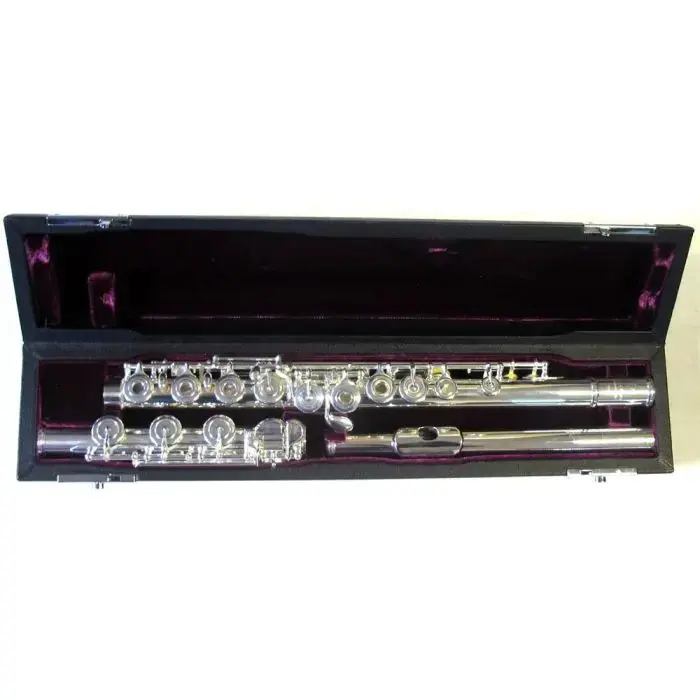 Vendita Finale 31CF HROE FLAUTO TRAVERSO